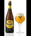 Bush blond