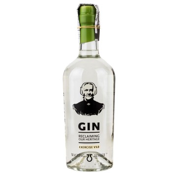 Wagging Finger Gin Exercise V3.0