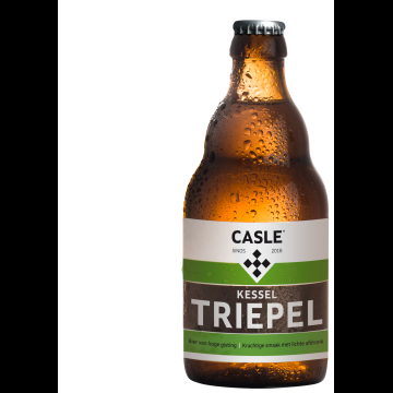 Kessel Triepel