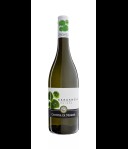 Cantina di Negrar 'Garganega' IGT. Veronese bianco